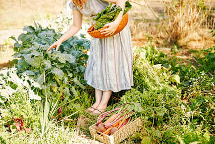 Starting A Garden? This Is The Most Important Tool You'll Need