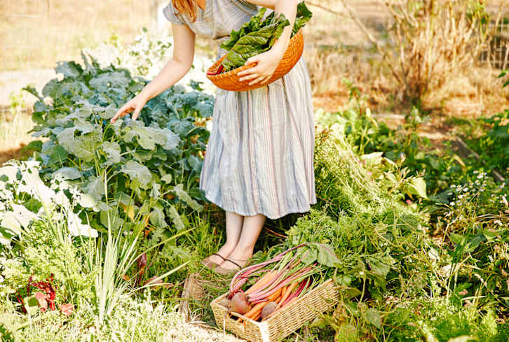 Starting A Garden? This Is The Most Important Tool You'll Need