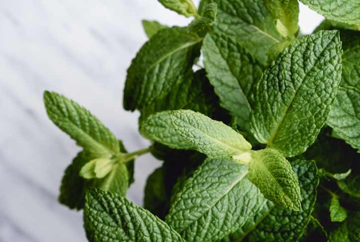 Cool Chocolate Mint Chip Shake