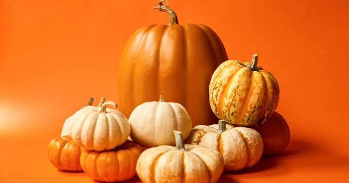 The 10 Healthiest (And Most Delicious) Ways To Eat Pumpkin