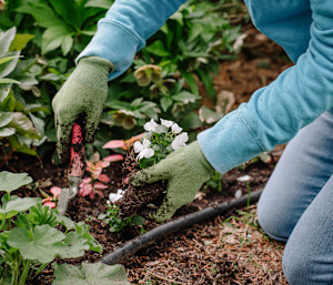 The Research Is In: Yes, Gardening Totally Counts As Exercise