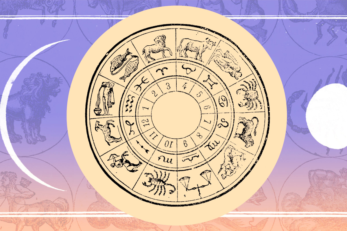 The 12 Houses Of Astrology & What They Mean | mindbodygreen