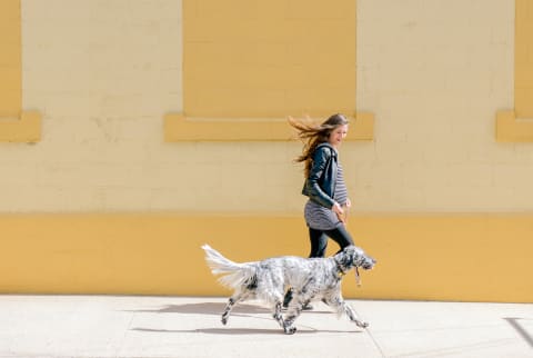 Pregnant Woman Walking with Her Dog