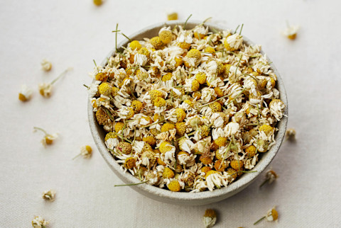 Dried chamomile flower buds for tea Dried chamomile flower buds for tea