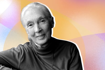 Jane Goodall Wrote To Us From Quarantine: Here's Her Mobilizing Message