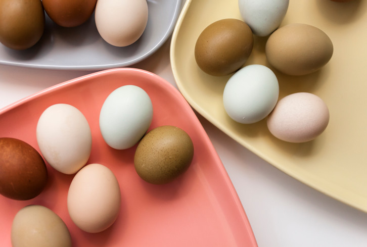 Read article: This Common Breakfast Food May Lower Alzheimer's Risk, Study Finds