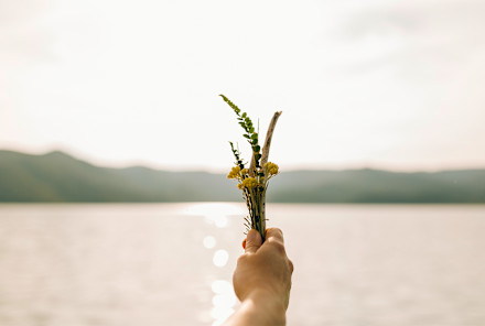 5 Simple Drying Methods To Make Your Flowers Last Longer With These