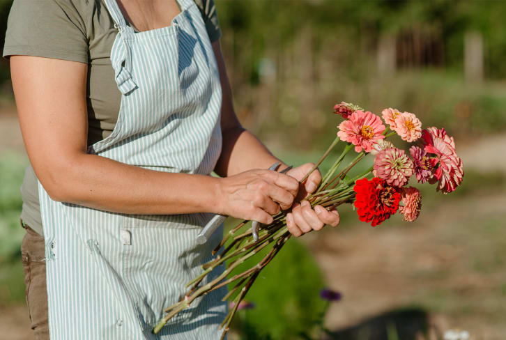 How To Start A Colorful Flower Cutting Garden — With Or Without A Backyard
