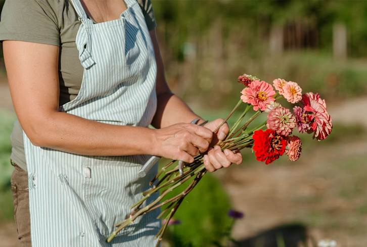 How To Start A Colorful Flower Cutting Garden — With Or Without A Backyard