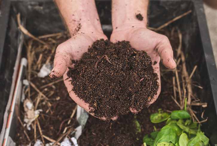Vermicompost Almost Guarantees A Thriving Garden: Here's How To Get It