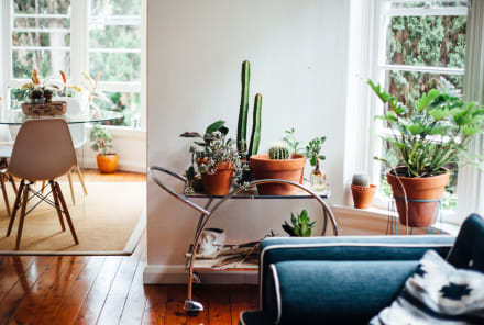 How To Give Your Home An Energetic Makeover This Fall, According To Feng Shui