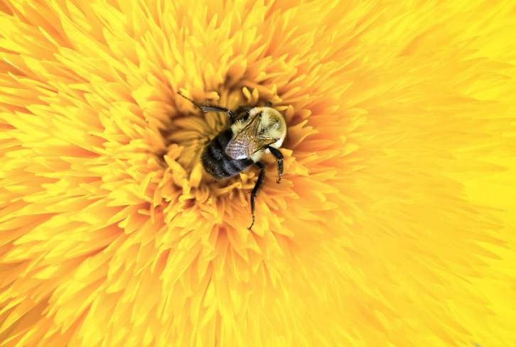 September 26, 2018: Wellness News You Need To Know