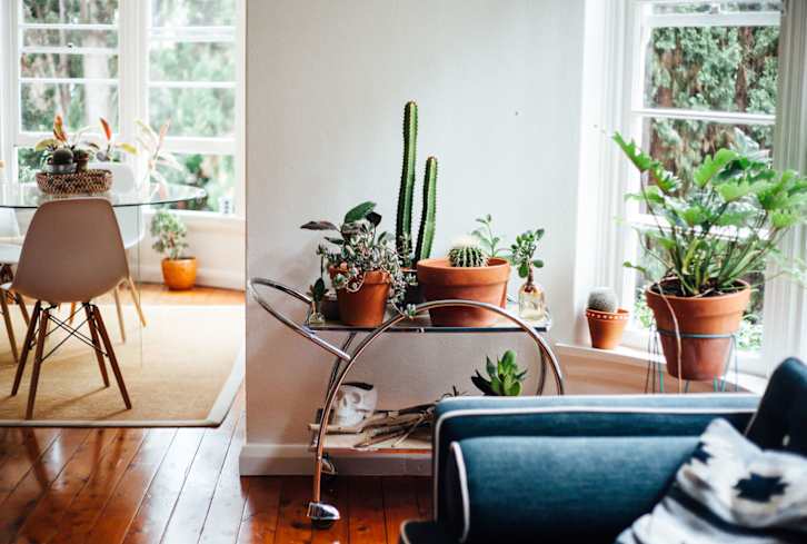 How To Give Your Home An Energetic Makeover This Fall, According To Feng Shui