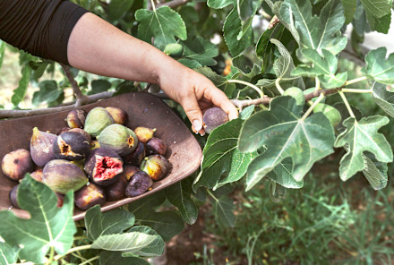 Read article: The Absolute Best Foods For Getting That Youthful Glow