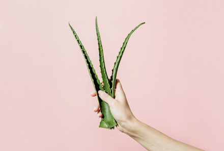 This Natural Ingredient Is A Star Hydrator — What Derms Say About It's Other Benefits