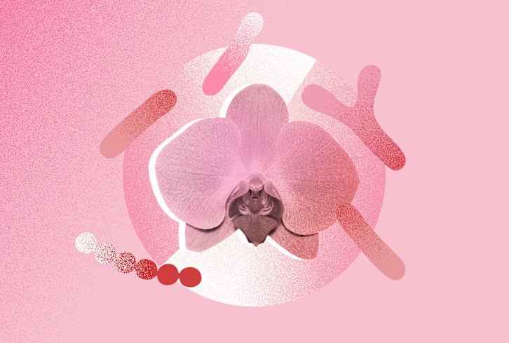 Struggle With Yeast Infections? Make Sure You're Getting Enough Of This