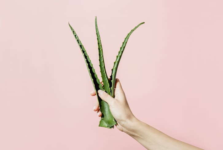 This Natural Ingredient Is A Star Hydrator — What Derms Say About It's Other Benefits
