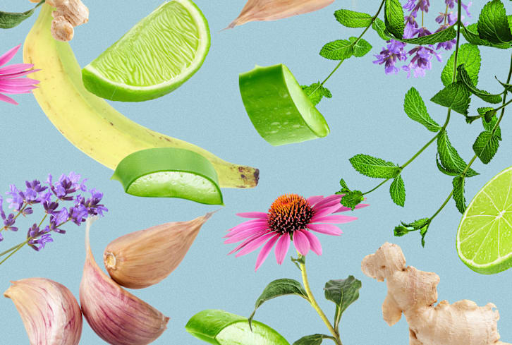 6 Common Ailments You Can Help Treat With An Herbal First Aid Kit