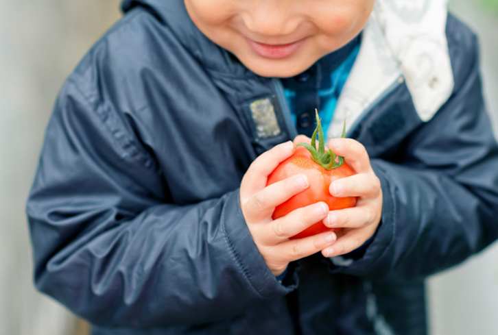 Just One Week Of Eating Organic Lowers Toxin Levels, Study Finds