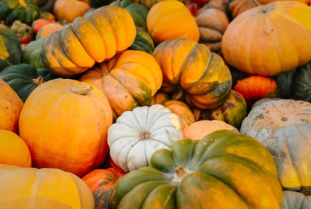 Pumpkin Date Scones (Gluten-Free & Vegan)