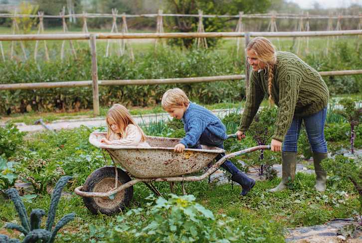 3 Herbs for Back to School Season