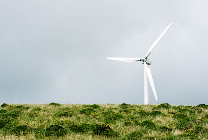 Renter? Homeowner? How You Can Support Clean Energy Either Way