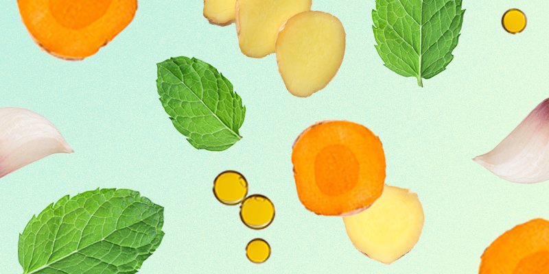 9 Best Natural Antivirals According To Experts Research