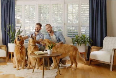 Watch How This Plant Expert With 3 Golden Retrievers Keeps His Full House Healthy