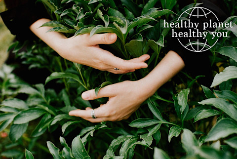 Healthy Planet Healthy You