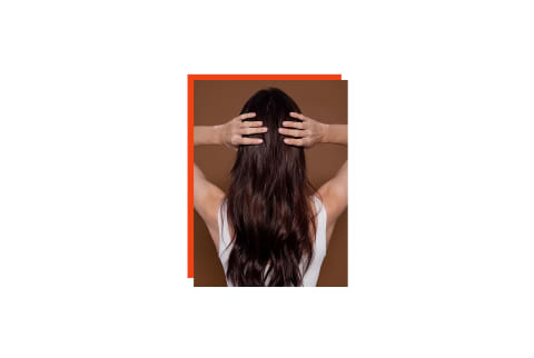 photo of the back of a woman's head with her hands in her hair