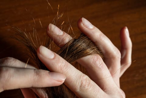 Hand of young woman holding brunette hair and checking split ends.