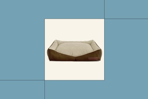 best giant dog bed