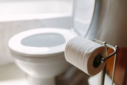 Toilet Paper In Toilet Bathroom With Nobody Toilet Paper In Toilet Bathroom With Nobody