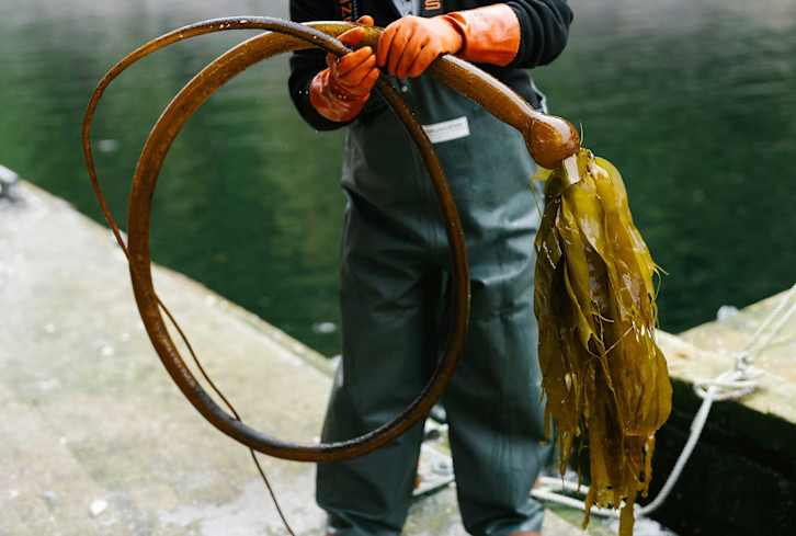 Read article: The Surprising Ingredient Making Waves In Food, Beauty & Sustainability