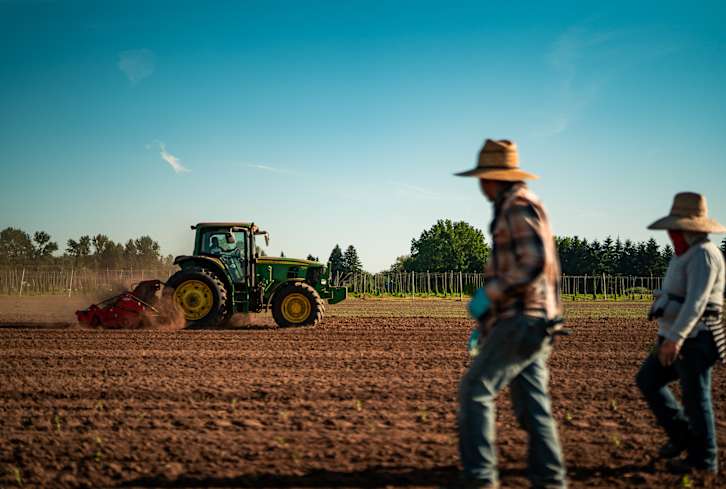 Do You Know Where Your CBD Comes From? Take A Look