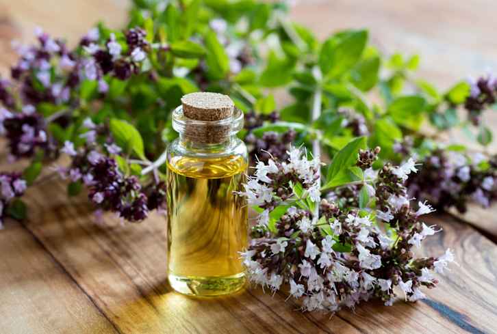 This Anti-Inflammatory Herb Is A+ For Your Gut Health: Here's How To Take It