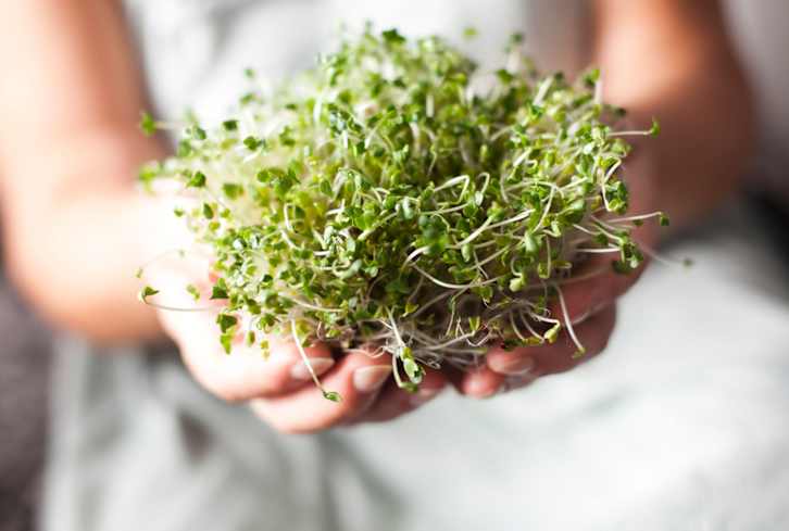 The Vegetable A Nutrition Expert Eats Daily For Brain Health & Anxiety Relief