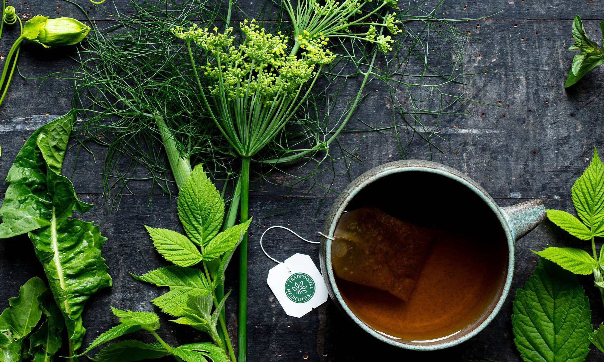 Curious About Herbalism? Here's How You Can Harness The Power Of Plants