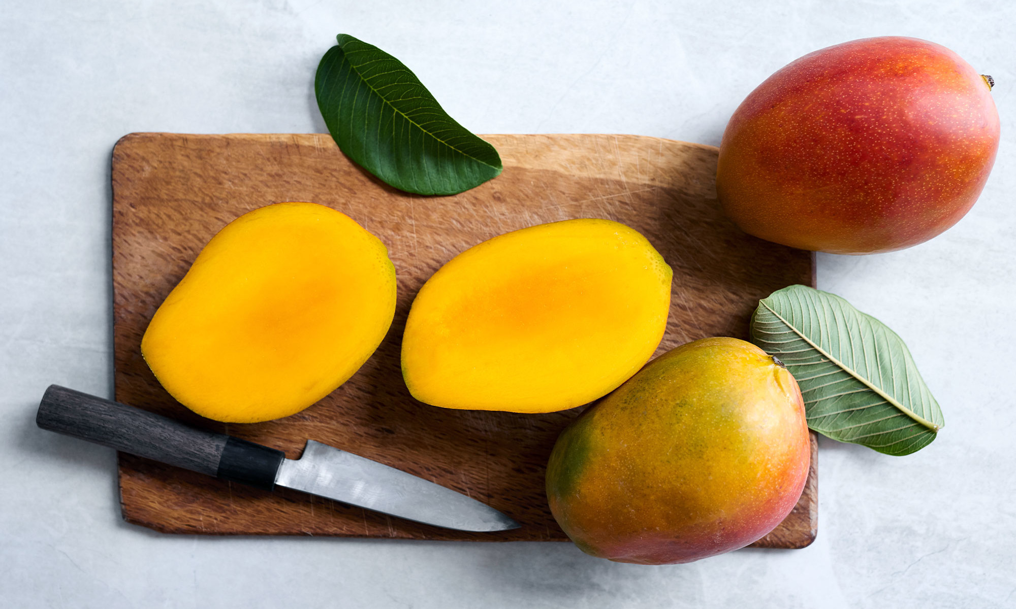 Want Smoother, Firmer Skin? Look For This Ingredient In Your Next Product