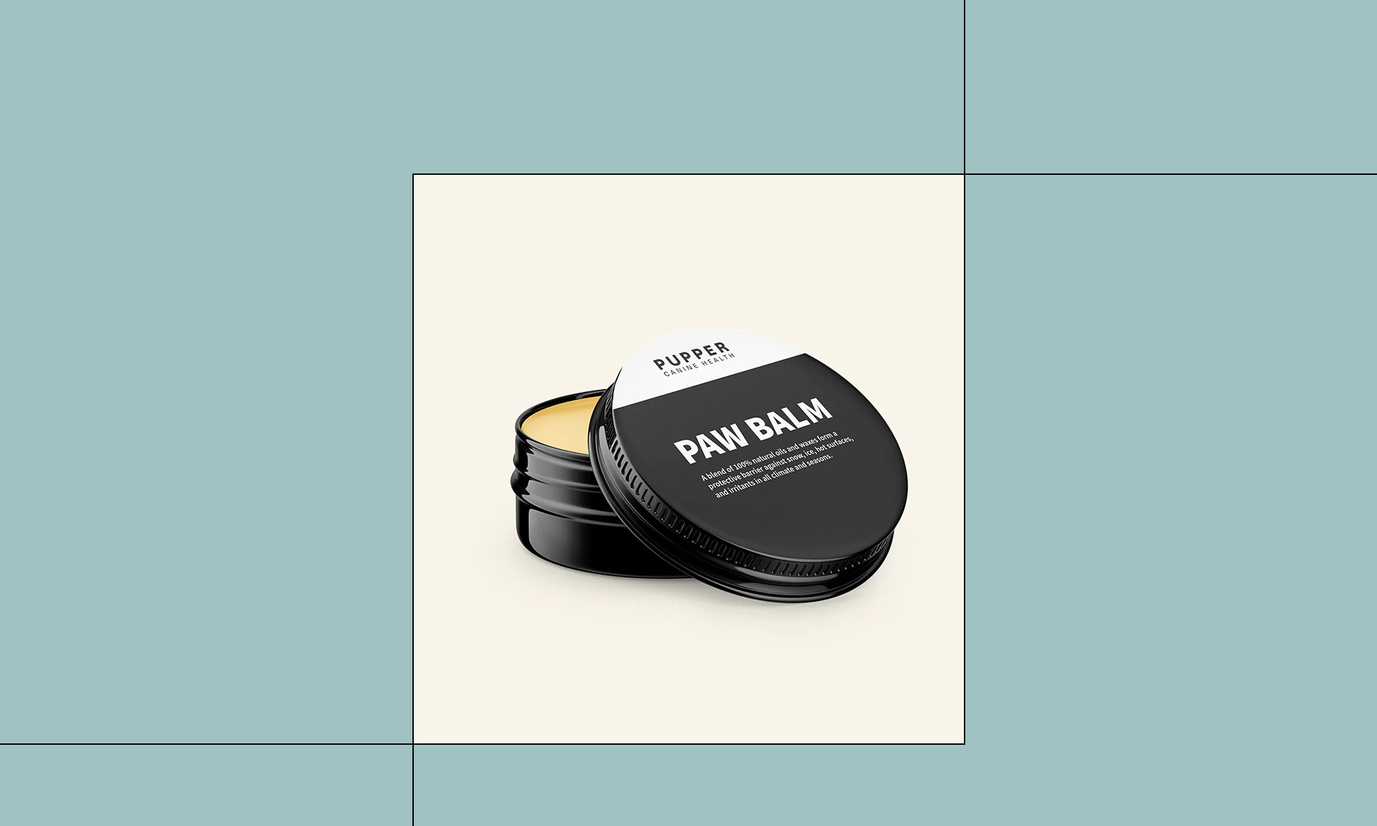 Best Dog Paw Balms | mindbodygreen