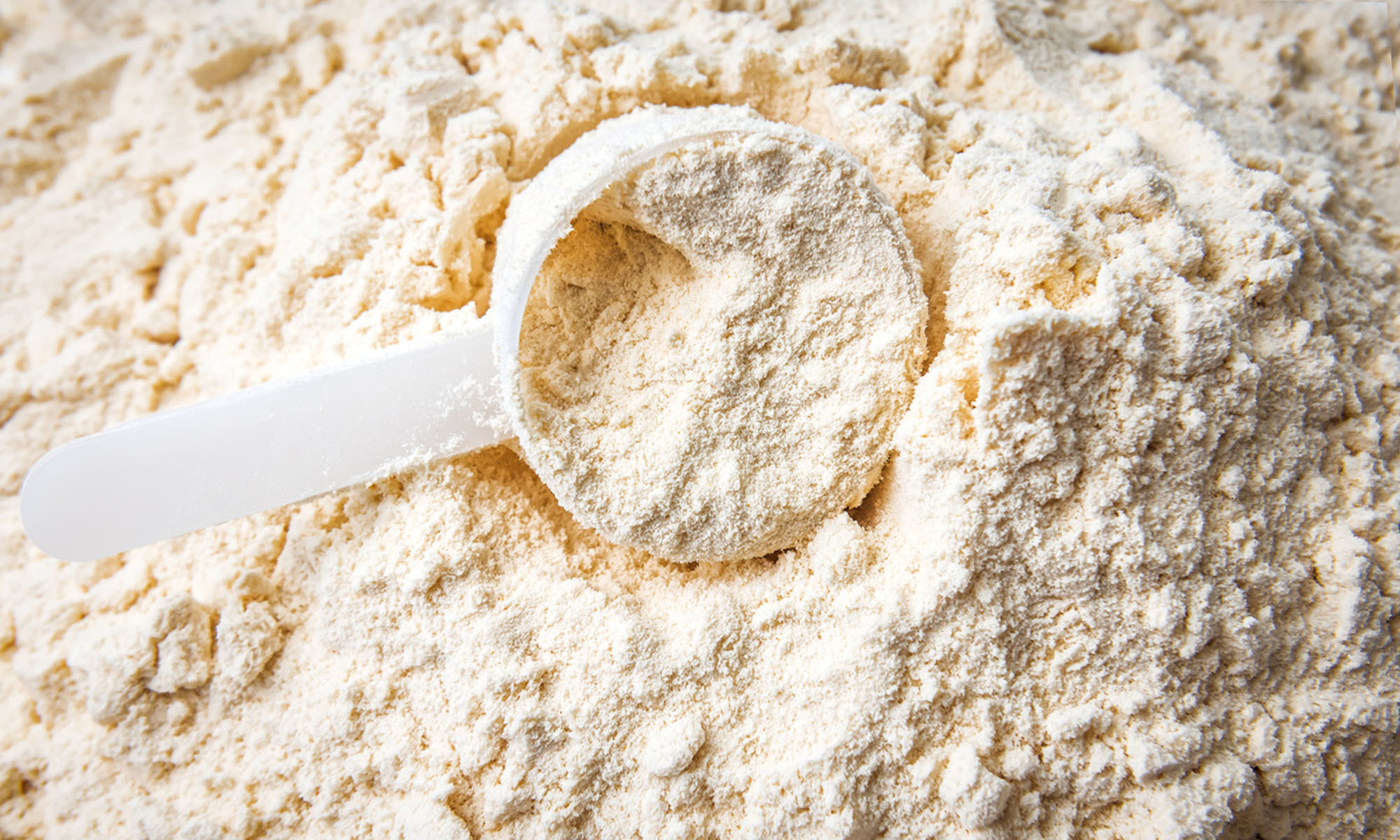 This Type Of Protein Powder May Lower Blood Pressure & Reduce Appetite