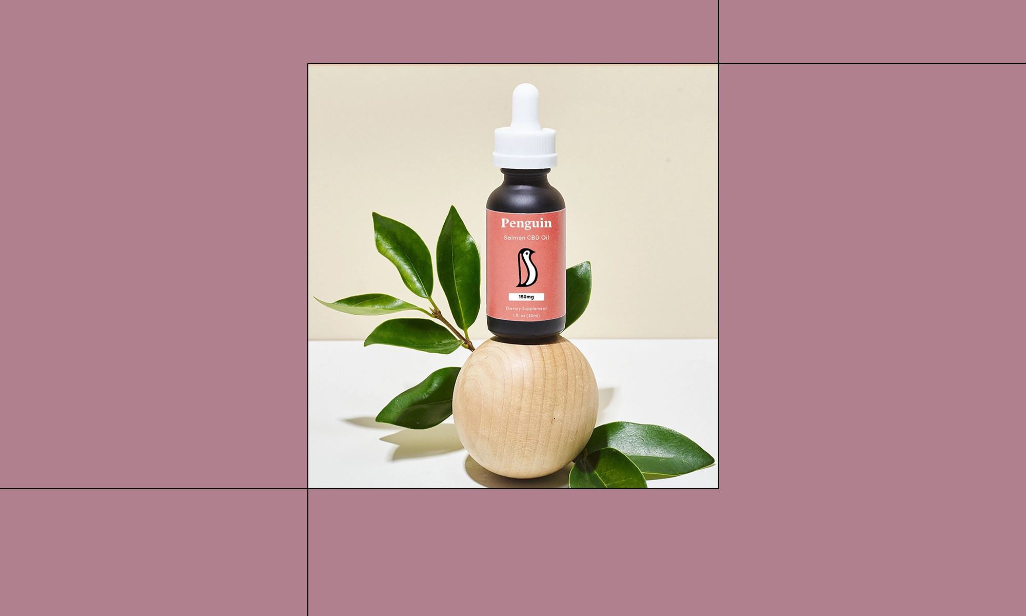 8 Best CBD Oils For Cats With Anxiety