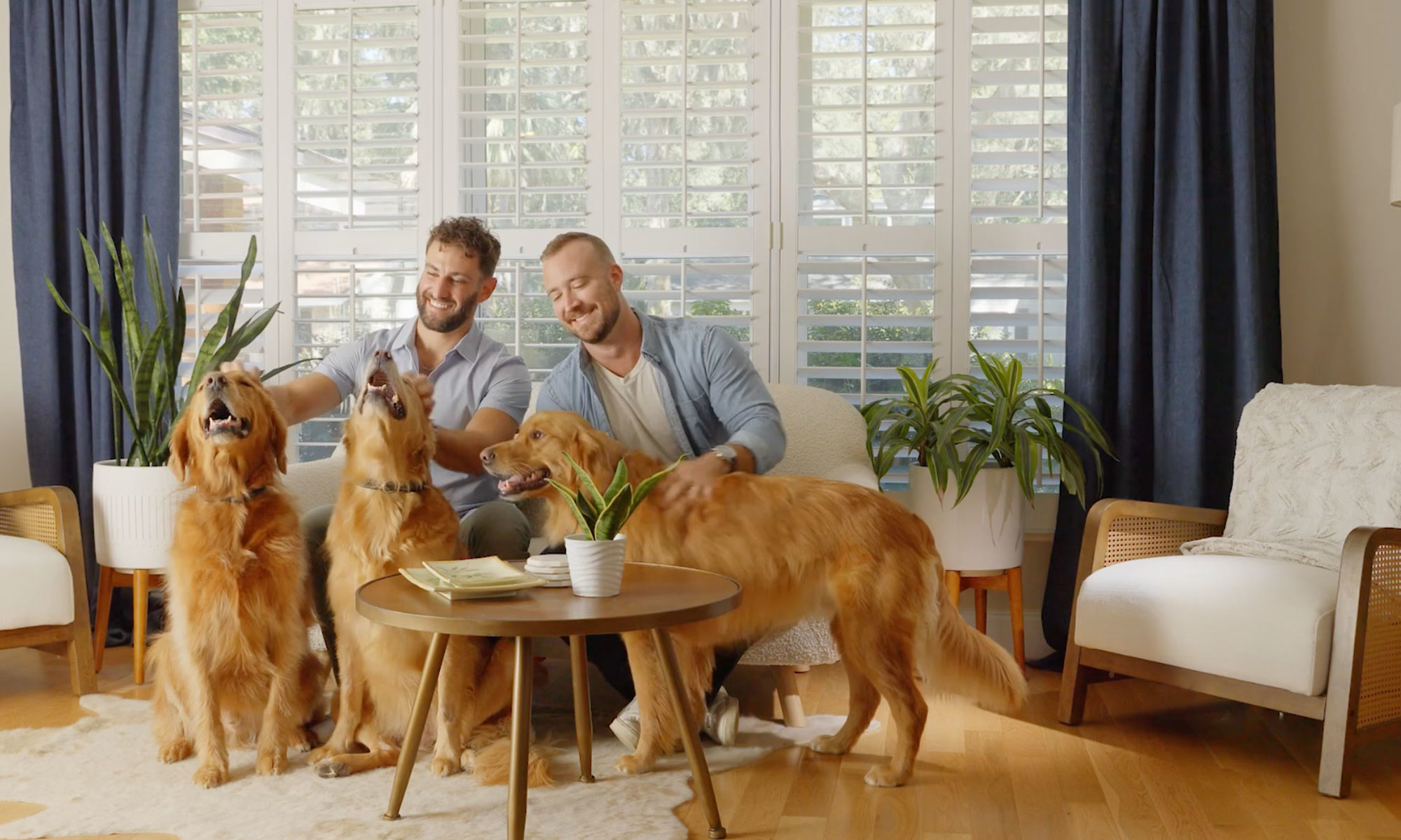 Watch How This Plant Expert With 3 Golden Retrievers Keeps His Full House Healthy