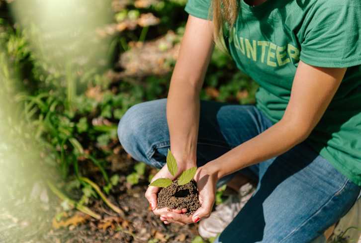 Earth Day 2011: Everything Is Connected
