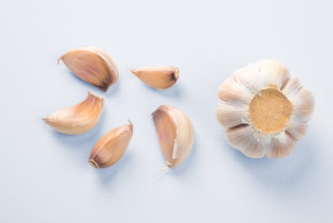Garlic head and garlic cloves in strong lighting and blue background