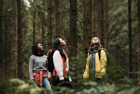 young adults hiking