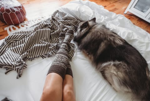 (1/21/2021) A woman laying in bed relaxing with her dog