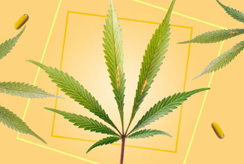 Hemp myth haters: 5 myths about the plant that we’d to be debunked 