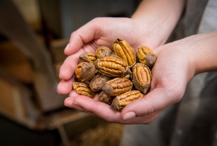 Superfood Spotlight: Pecans Are Having A Moment (Here's Why)