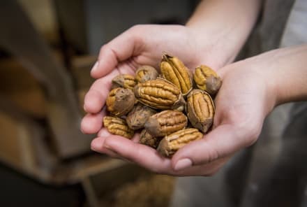 Superfood Spotlight: Pecans Are Having A Moment (Here's Why)
